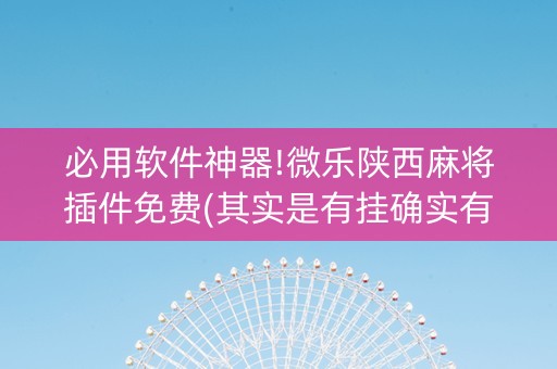 必用软件神器!微乐陕西麻将插件免费(其实是有挂确实有挂)