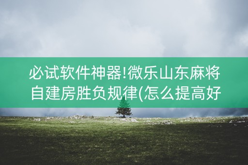 必试软件神器!微乐山东麻将自建房胜负规律(怎么提高好牌几率)