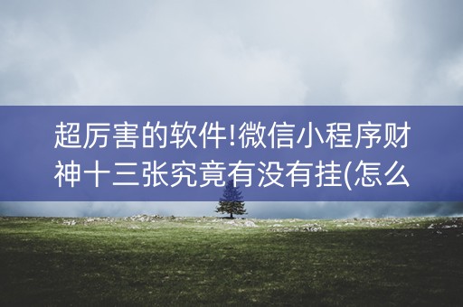 超厉害的软件!微信小程序财神十三张究竟有没有挂(怎么刷好牌)