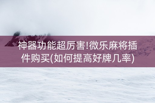 神器功能超厉害!微乐麻将插件购买(如何提高好牌几率)
