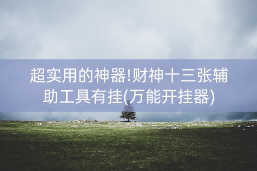 超实用的神器!财神十三张辅助工具有挂(万能开挂器)
