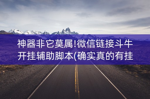 神器非它莫属!微信链接斗牛开挂辅助脚本(确实真的有挂)