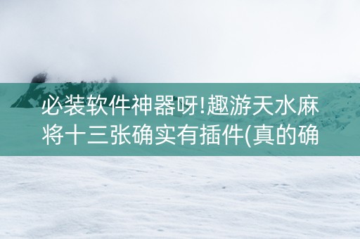 必装软件神器呀!趣游天水麻将十三张确实有插件(真的确实是有挂)