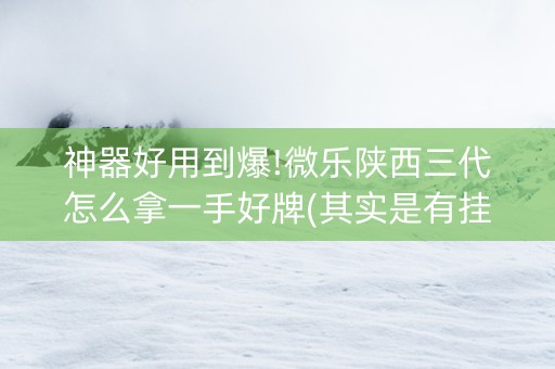 神器好用到爆!微乐陕西三代怎么拿一手好牌(其实是有挂的)