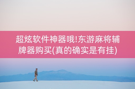 超炫软件神器哦!东游麻将辅牌器购买(真的确实是有挂)
