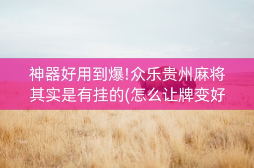 神器好用到爆!众乐贵州麻将其实是有挂的(怎么让牌变好)