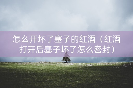 怎么开坏了塞子的红酒（红酒打开后塞子坏了怎么密封）