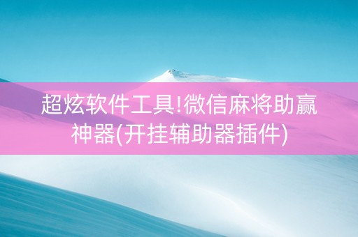 超炫软件工具!微信麻将助赢神器(开挂辅助器插件)