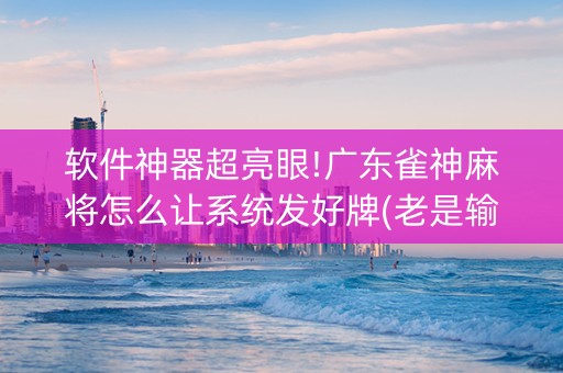 软件神器超亮眼!广东雀神麻将怎么让系统发好牌(老是输怎么回事)