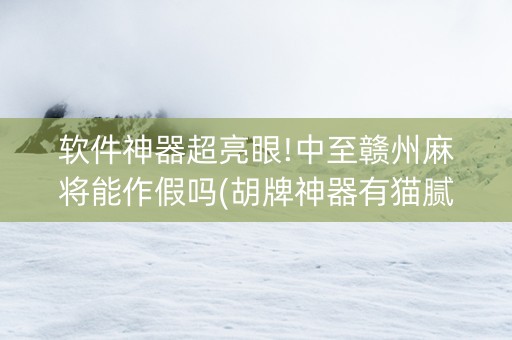 软件神器超亮眼!中至赣州麻将能作假吗(胡牌神器有猫腻吗)