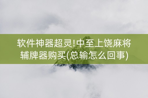 软件神器超灵!中至上饶麻将辅牌器购买(总输怎么回事)