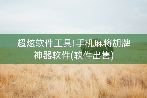 超炫软件工具!手机麻将胡牌神器软件(软件出售)