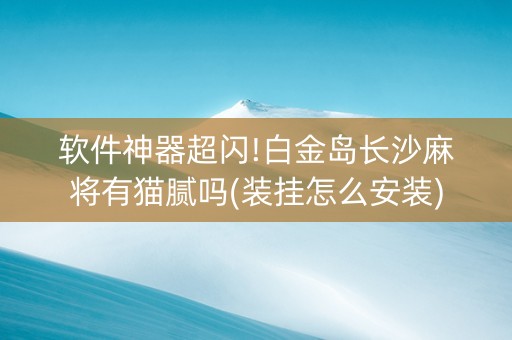 软件神器超闪!白金岛长沙麻将有猫腻吗(装挂怎么安装)