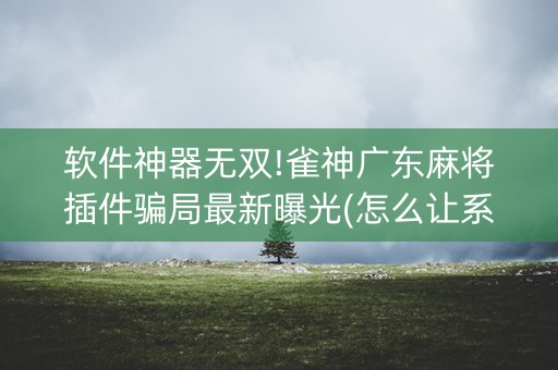 软件神器无双!雀神广东麻将插件骗局最新曝光(怎么让系统发好牌)