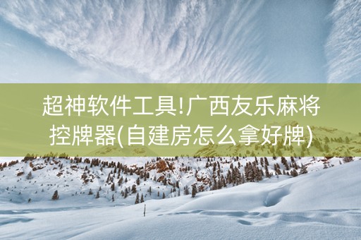 超神软件工具!广西友乐麻将控牌器(自建房怎么拿好牌)