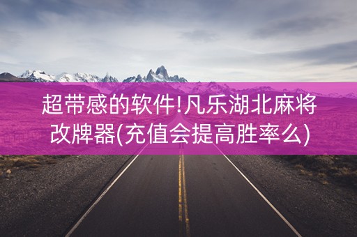 超带感的软件!凡乐湖北麻将改牌器(充值会提高胜率么)