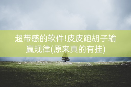 超带感的软件!皮皮跑胡子输赢规律(原来真的有挂)