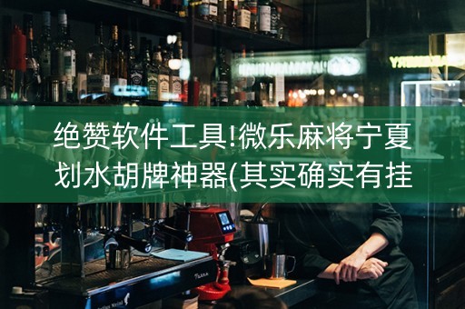 绝赞软件工具!微乐麻将宁夏划水胡牌神器(其实确实有挂)