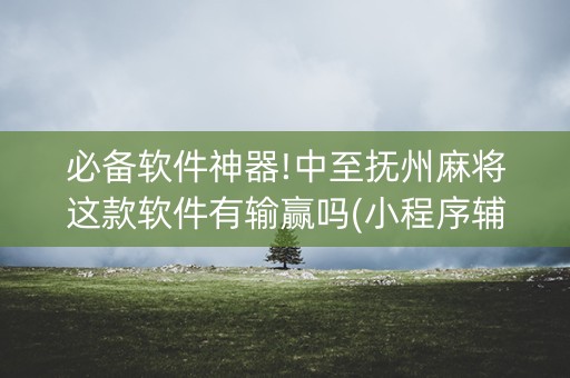 必备软件神器!中至抚州麻将这款软件有输赢吗(小程序辅助软件)