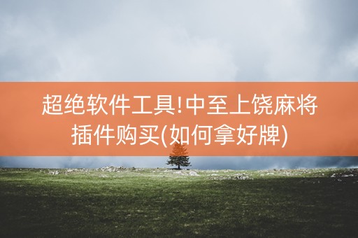 超绝软件工具!中至上饶麻将插件购买(如何拿好牌)