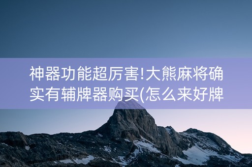 神器功能超厉害!大熊麻将确实有辅牌器购买(怎么来好牌)