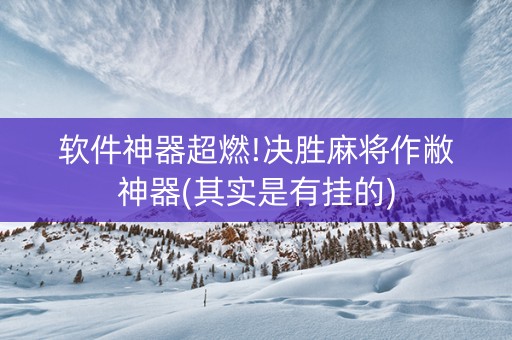 软件神器超燃!决胜麻将作敝神器(其实是有挂的)