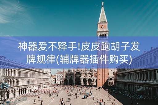 神器爱不释手!皮皮跑胡子发牌规律(辅牌器插件购买)