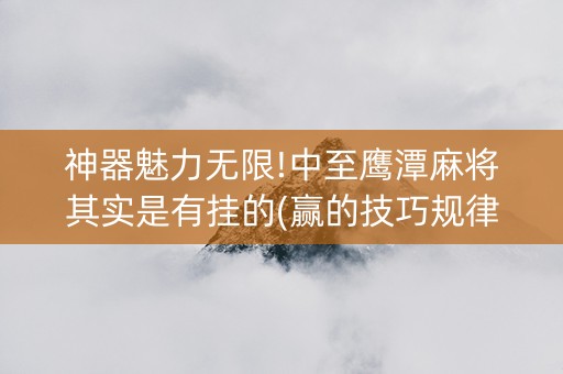 神器魅力无限!中至鹰潭麻将其实是有挂的(赢的技巧规律)