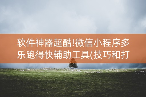 软件神器超酷!微信小程序多乐跑得快辅助工具(技巧和打好牌方法)
