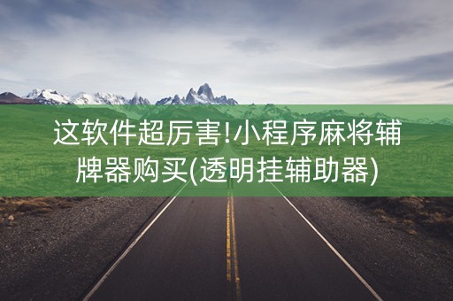 这软件超厉害!小程序麻将辅牌器购买(透明挂辅助器)
