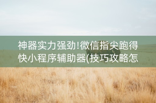 神器实力强劲!微信指尖跑得快小程序辅助器(技巧攻略怎样拿好牌)