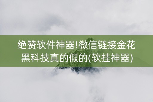 绝赞软件神器!微信链接金花黑科技真的假的(软挂神器)