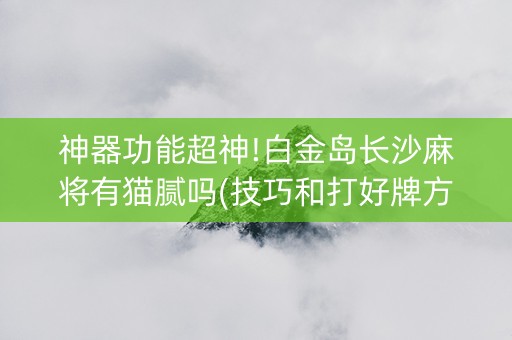 神器功能超神!白金岛长沙麻将有猫腻吗(技巧和打好牌方法)