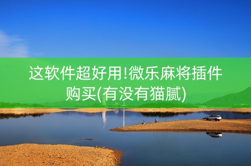 这软件超好用!微乐麻将插件购买(有没有猫腻)