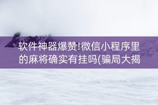 软件神器爆赞!微信小程序里的麻将确实有挂吗(骗局大揭秘)