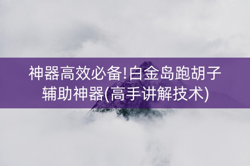 神器高效必备!白金岛跑胡子辅助神器(高手讲解技术)