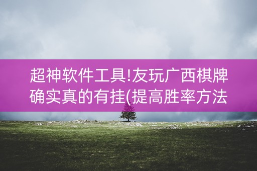 超神软件工具!友玩广西棋牌确实真的有挂(提高胜率方法)