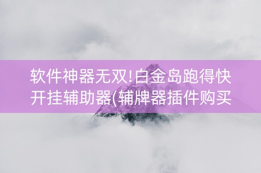 软件神器无双!白金岛跑得快开挂辅助器(辅牌器插件购买)