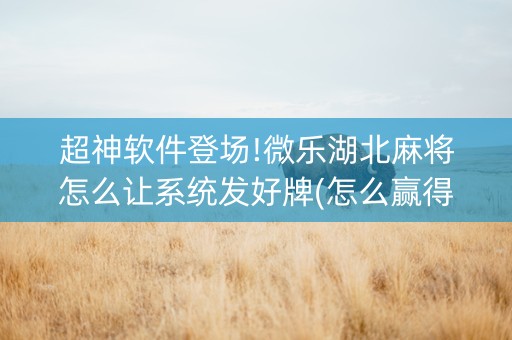 超神软件登场!微乐湖北麻将怎么让系统发好牌(怎么赢得多)