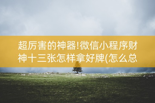 超厉害的神器!微信小程序财神十三张怎样拿好牌(怎么总是输)