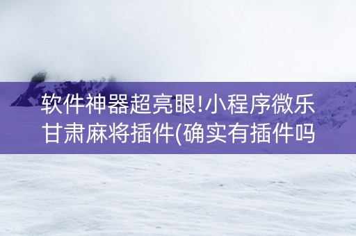 软件神器超亮眼!小程序微乐甘肃麻将插件(确实有插件吗)