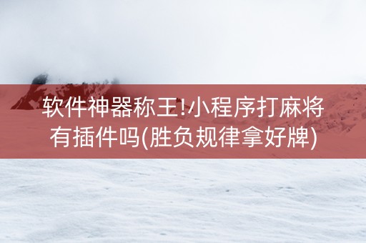 软件神器称王!小程序打麻将有插件吗(胜负规律拿好牌)