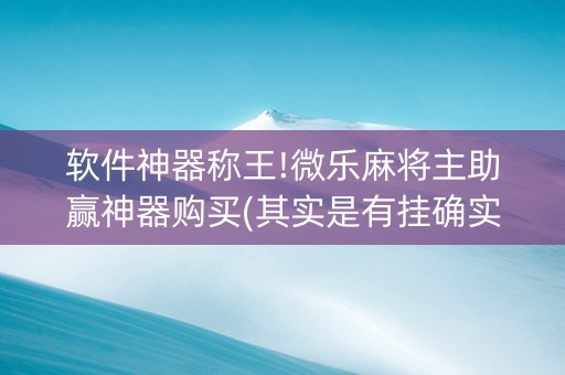 软件神器称王!微乐麻将主助赢神器购买(其实是有挂确实有挂)