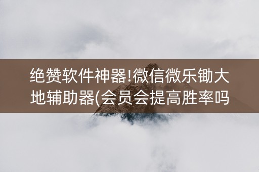 绝赞软件神器!微信微乐锄大地辅助器(会员会提高胜率吗)