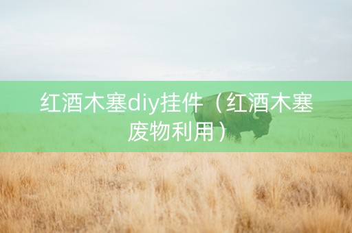 红酒木塞diy挂件（红酒木塞废物利用）