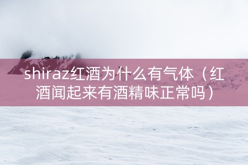 shiraz红酒为什么有气体（红酒闻起来有酒精味正常吗）