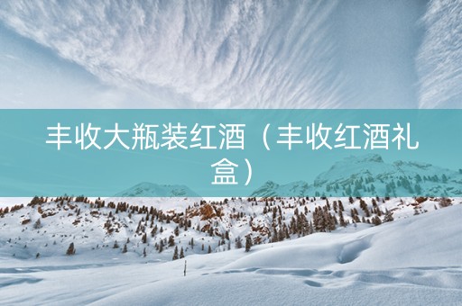 丰收大瓶装红酒（丰收红酒礼盒）