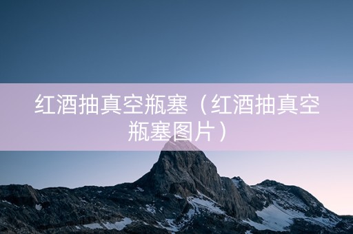 红酒抽真空瓶塞（红酒抽真空瓶塞图片）