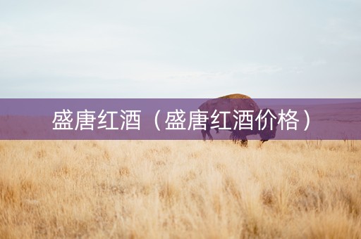 盛唐红酒（盛唐红酒价格）