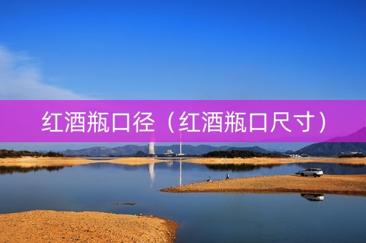 红酒瓶口径（红酒瓶口尺寸）